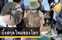 タイの人気ユーチューバー　新種のタランチュラを発見