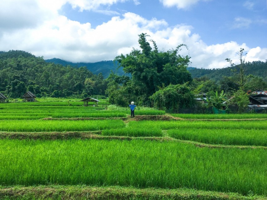 パーイ（ปาย）